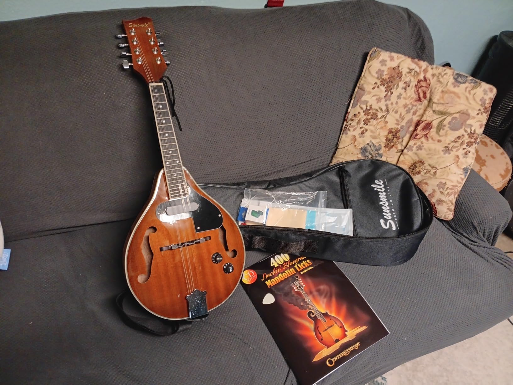A-Style 8 String Acoustic-Electric Mandolin Instrument with Pickup Sapele Top Arched F Holes Body Okoume Neck Walnut Bridge with Gig Bag, Cable, Tuner, Strings, Strap, Picks and Polish Cloth customer photo 1