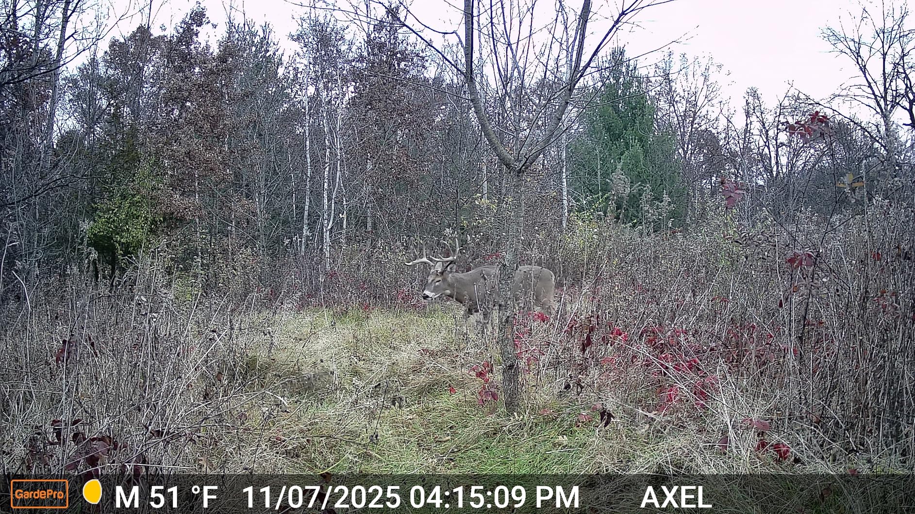 GardePro E5S 2-Pack Trail Camera (Non-Cellular, Non-WiFi), 64MP Photo & 1296P HD Video, 0.1s Trigger, 100ft No-Glow Night Vision, Motion Activated Wildlife Camera customer photo 2