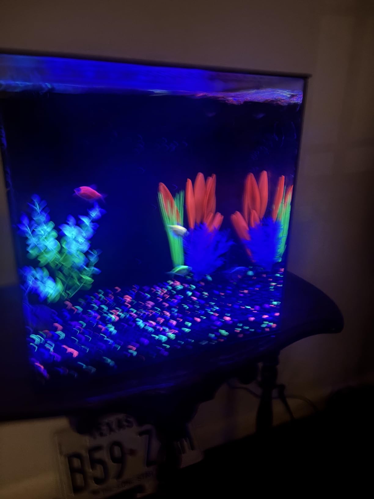 HelloReef 15 Gallon Glofish Complete Freshwater Aquarium Kit with App Controlled Smart LED Lighting, Filtration, Glofish Decor customer photo 2