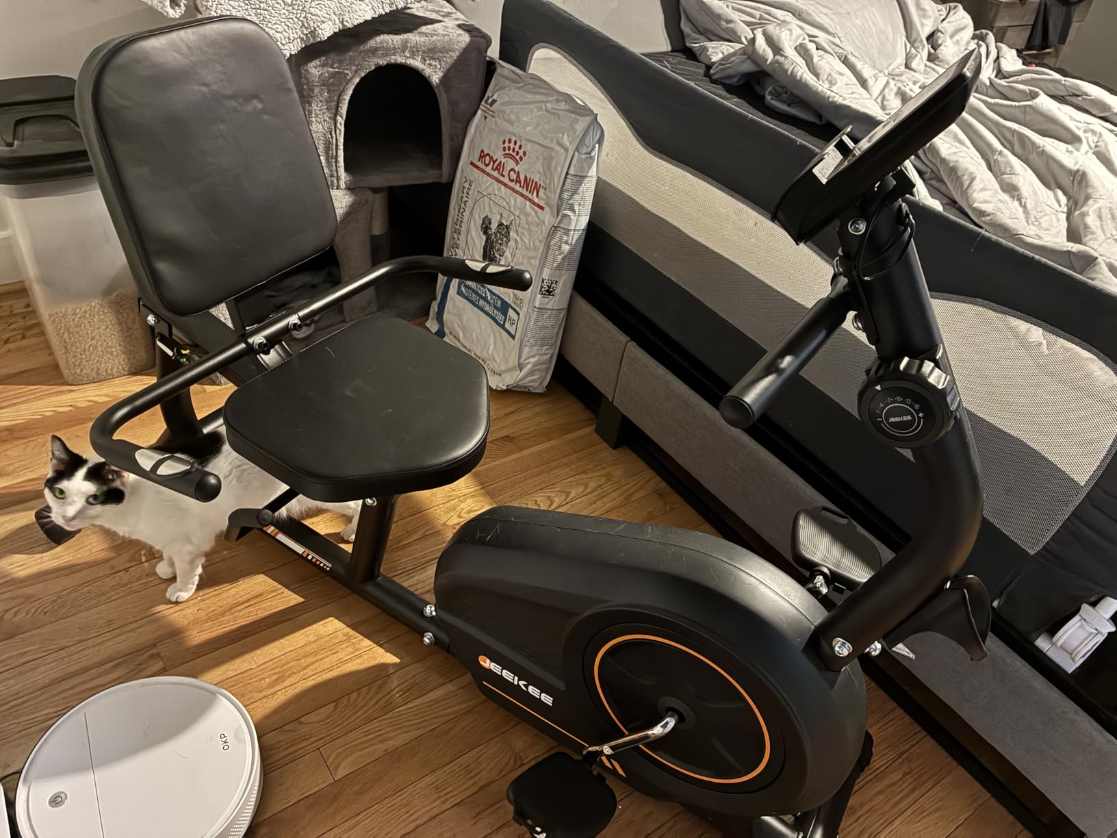 JEEKEE Recumbent Exercise Bike for Seniors,Stationary Bikes for Home, 400LB Capacity & 16 Levels Magnetic Resistance, Heart Rate Handle customer photo 2