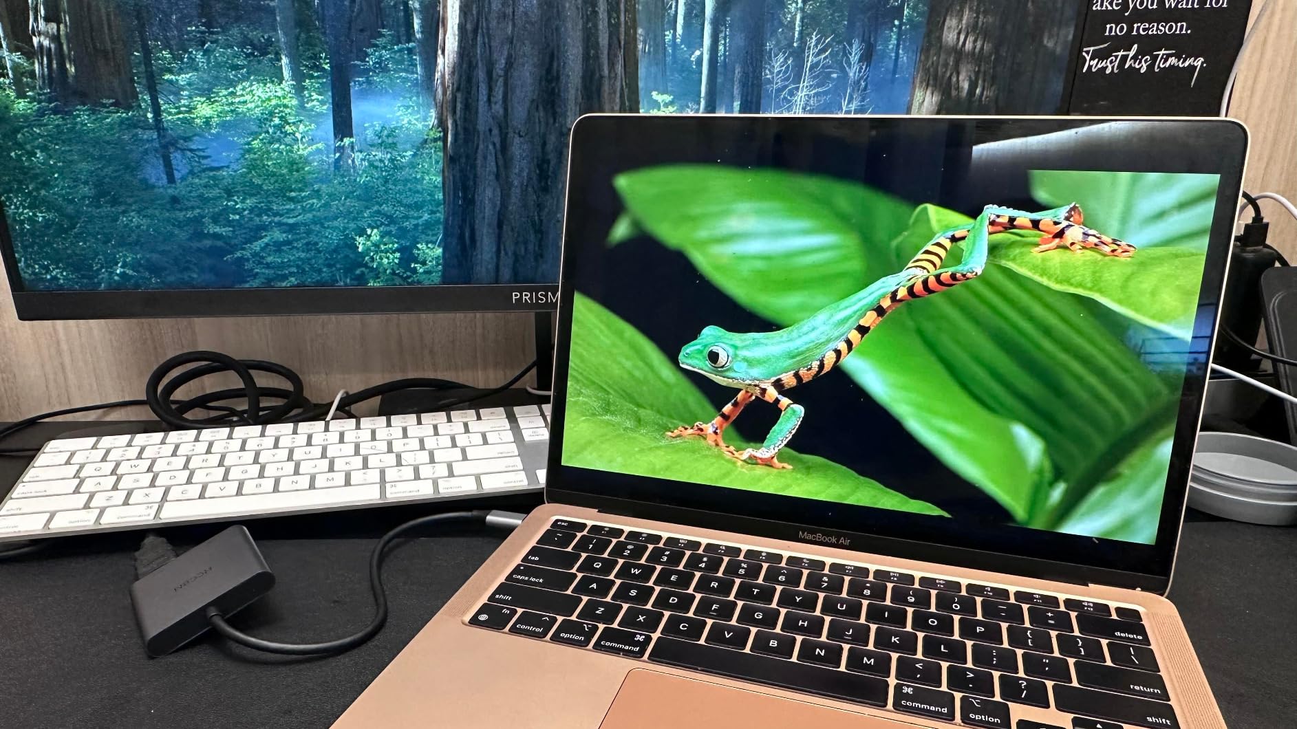 USB C to DisplayPort(DP) and HDMI Adapter 8K, Dual Monitor Adapter for Dell HP Surface Laptops,Thunderbolt 3/USB C Type C to HDMI DP Hub Dongle 4K @60hz customer photo 2