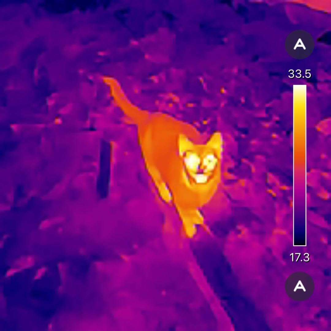 GOYOJO Thermal Imaging Camera for Android/iPhone 15/16/17 iOS Series 192x192 IR Resolution - Water Leak Detection HVAC Electrical Plumbing, Automotive Repair, Home Inspection, DIY-USB-C Infrared Imager customer photo 1