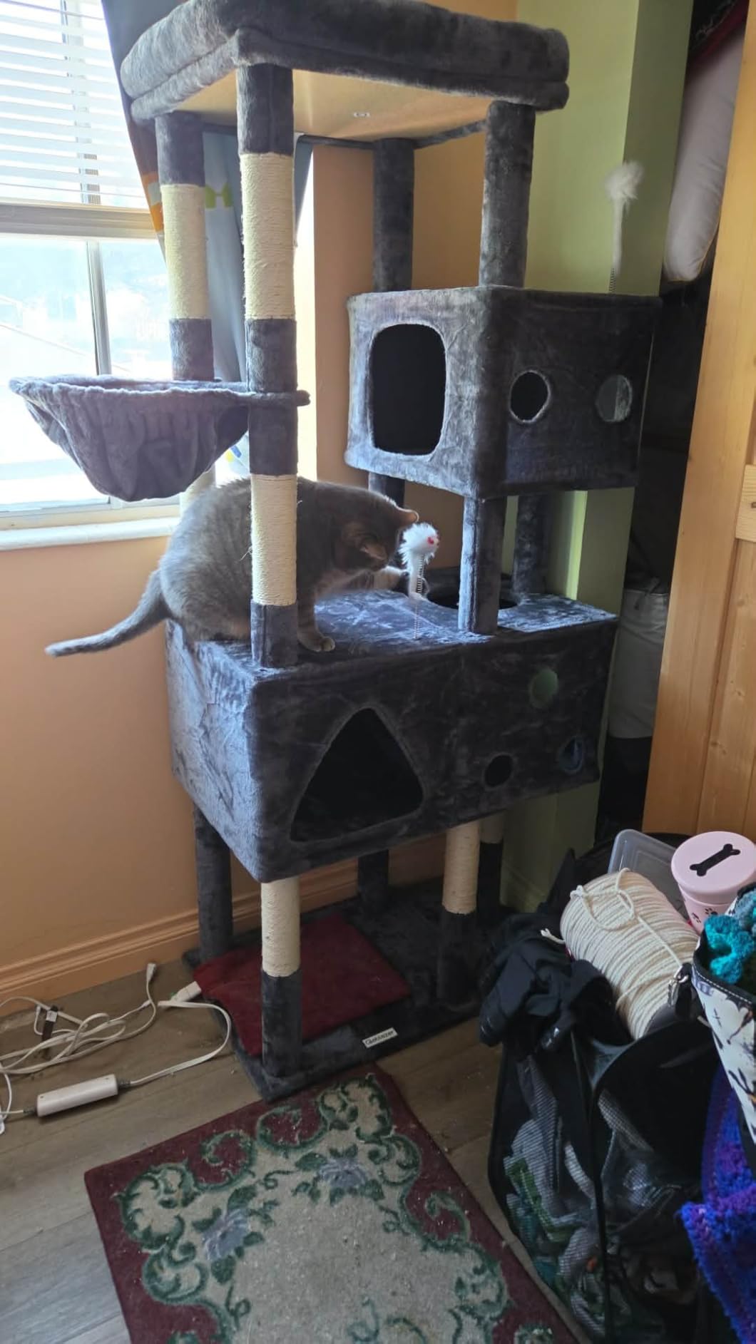 Globlazer Extra Large Cat Tower, 81-inch Tall Cat Tree for Big Cats 20 lbs, XXL Heavy Duty Cat Scratching Tower for Indoor Adult Cats with 3 Cat Condos, 8 Scratching Posts, F81, Dark Grey customer photo 1
