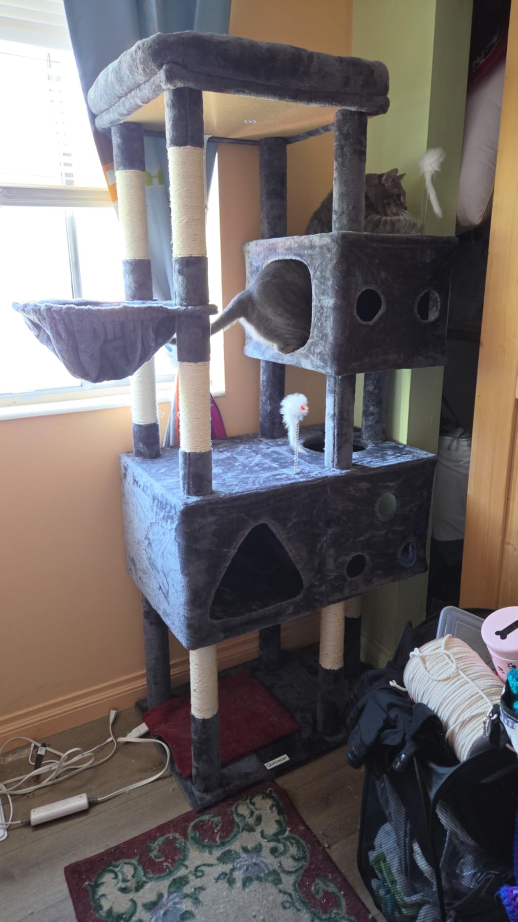 Globlazer Extra Large Cat Tower, 81-inch Tall Cat Tree for Big Cats 20 lbs, XXL Heavy Duty Cat Scratching Tower for Indoor Adult Cats with 3 Cat Condos, 8 Scratching Posts, F81, Dark Grey customer photo 2