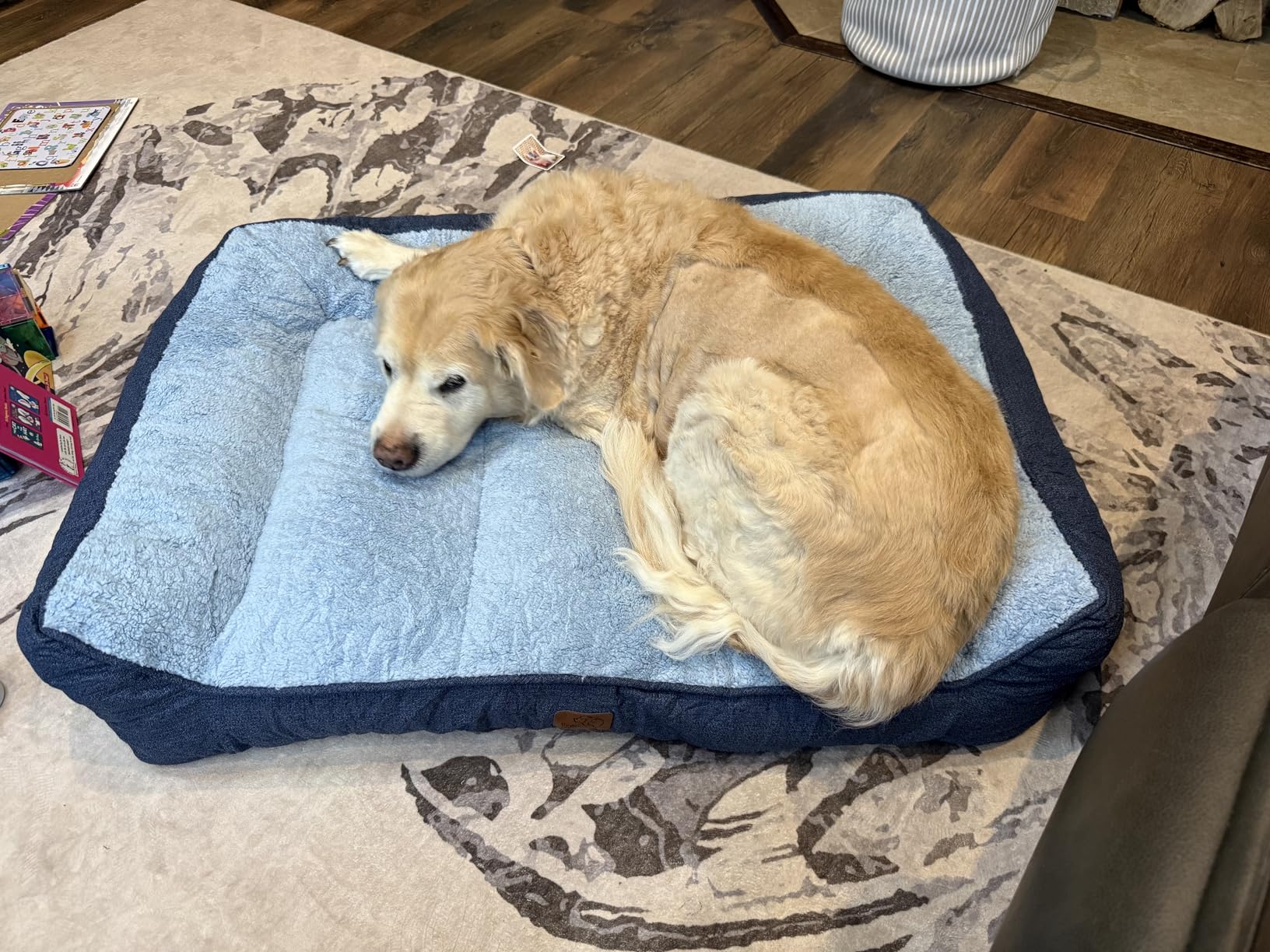 Bedsure SupportMax XL Orthopedic Dog Beds Large Sized Dog - Extra Thick Supportive Dogs Couch with Waterproof Washable Cover, Extra Large Comfort Pet Sofa with Soft Sherpa & Nonskid Bottom, Grey, 42
