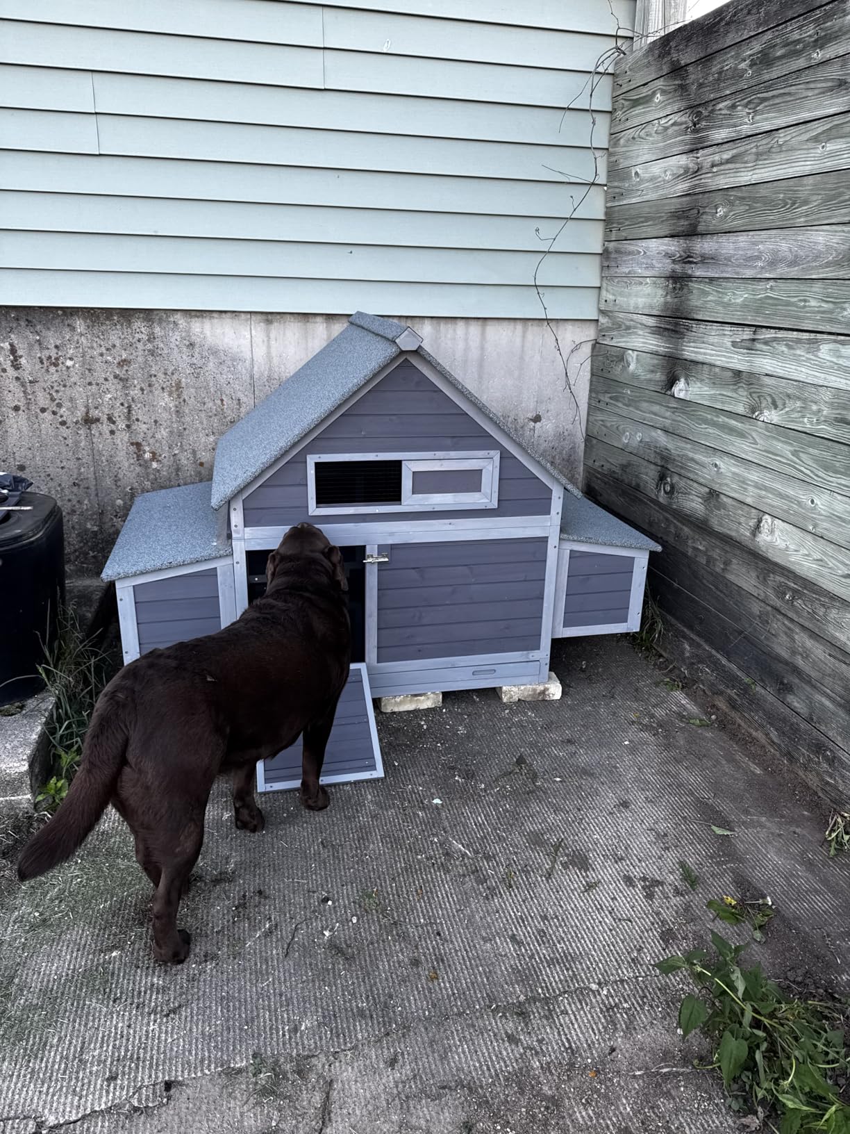 GUTINNEEN Large Chicken Coop on Wheels Mobile Wooden Hen House Weatherproof for 6-8 Chickens customer photo 1