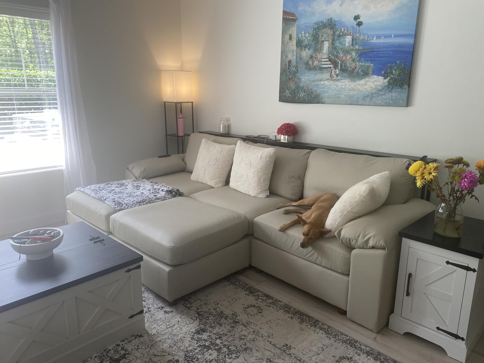 EASE MOOSE Oversized Modular Sectional Sofa, Leather Sectional Couch with Deep Seat, Extra Large U Shaped Couch, Faux Leather Material Sofa Modern Comfy Scratch Resistant, Beige customer photo 1