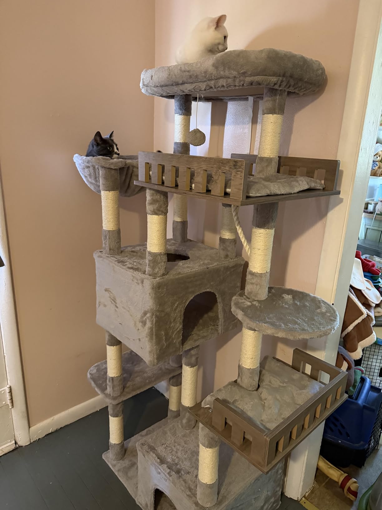 Gitelsnour Maine Coon Cat Tree, Heavy Duty Cat Tree for Indoor Cats Large Adult, Cat Tower for Large Cats 20 lbs+ with Hammock, 2 Big Perches, 2 Cat Condos, 15 Scratching Posts, Smoky Gray GCT033G customer photo 2