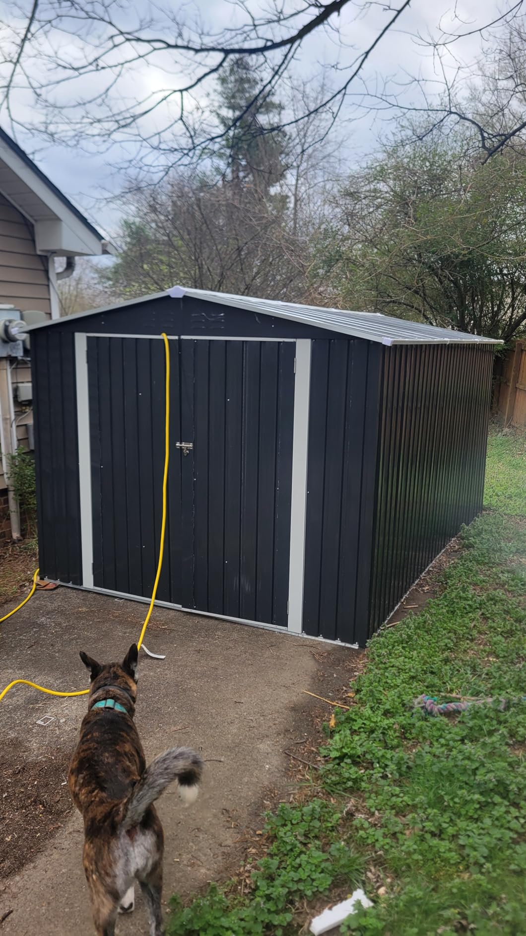 Polar Aurora 8 x 12 FT Outdoor Storage Shed, Metal Garden Shed with Updated Frame Structure, Tool Sheds for Backyard Garden Patio Lawn Black customer photo 2