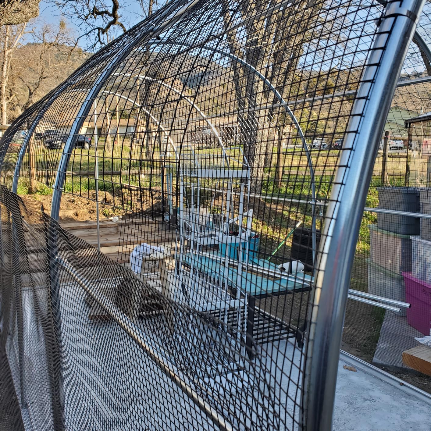 KING BIRD Premium 20x10x6.6FT Greenhouse for Outdoors, Large Walk-in Upgraded Galvanized Metal Frame, Mesh Door Screen Window Improved Zipper Tunnel customer photo 2