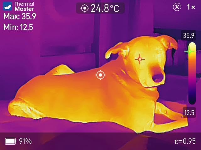 Thermal Master Handheld Thermal Camera, 512×384 X³IR Resolution, Thermal Imaging Camera with 2MP Visual Camera, 640×480 3.5