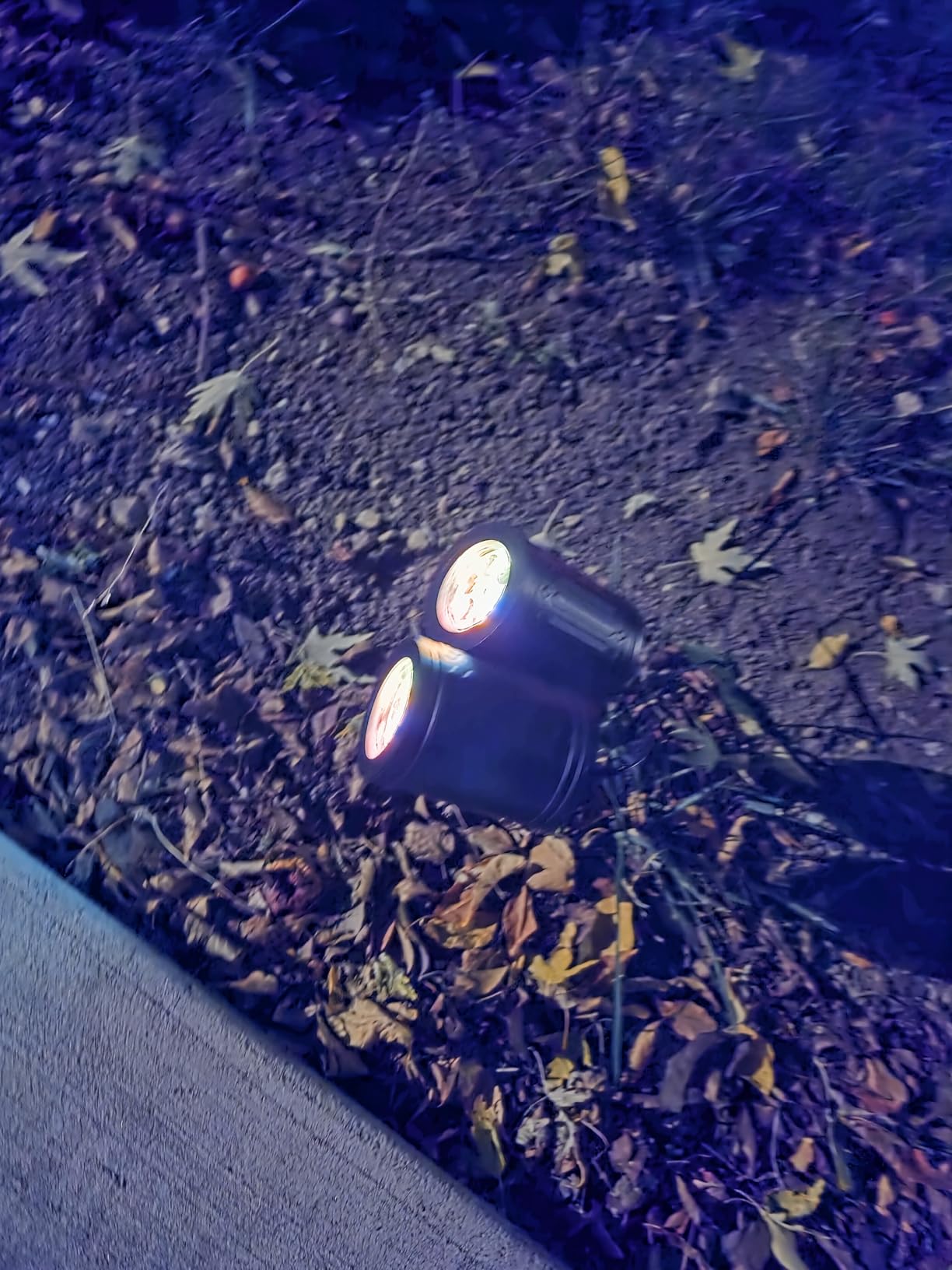 Upgraded Halloween Projector Lights Outdoor, Double Head Dynamic Projector Lights Indoor, 360° Rotating Waterproof Pumpkin Ghost Skeleton Bats Projection Light for Yard Window Party Decor customer photo 2