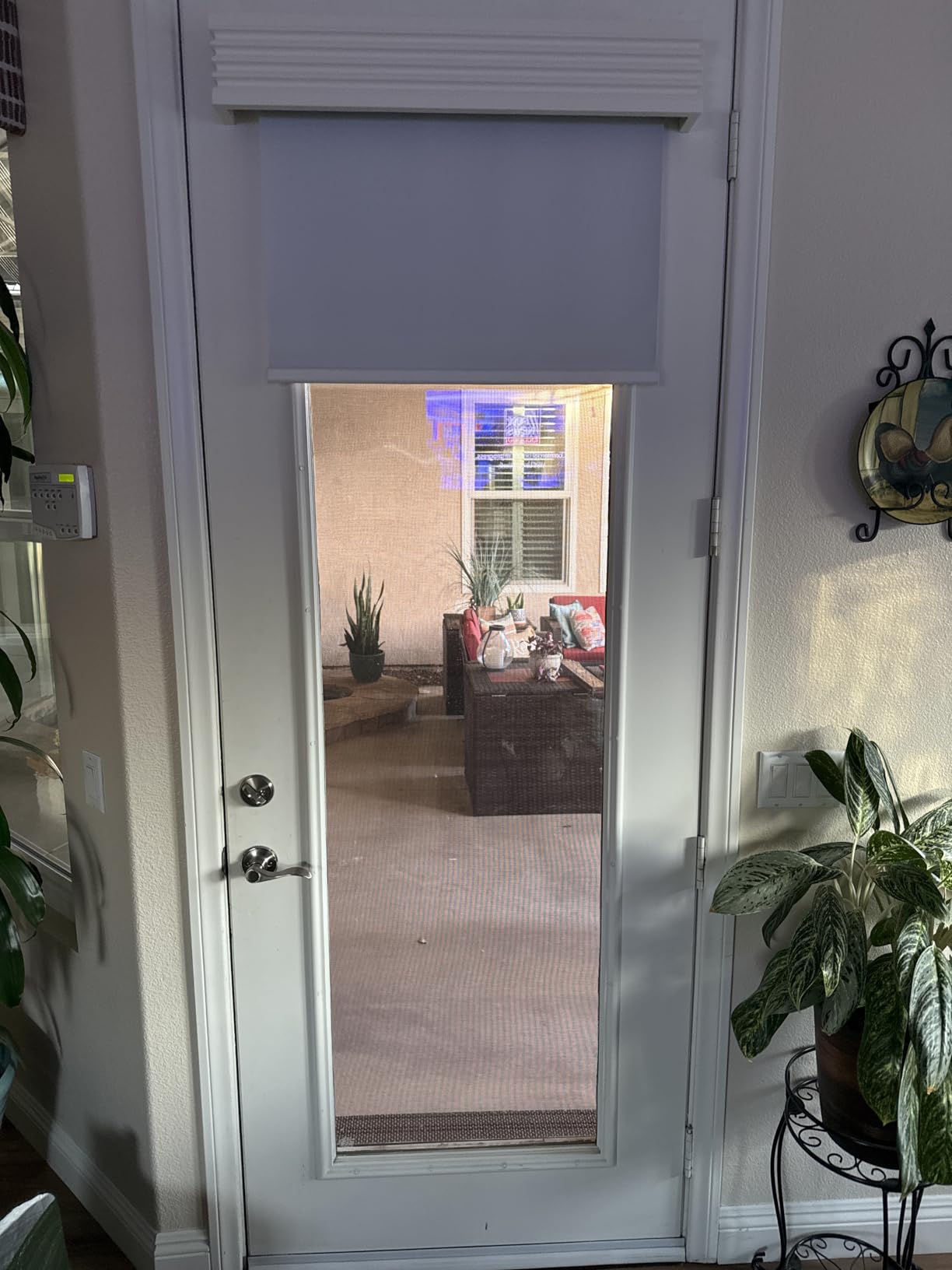 Allesin Smart Zigbee Roller Shades with Alexa Control, Blackout Motorized Blinds, No Hub Needed, Custom Sizes, Remote Included, (White, 34