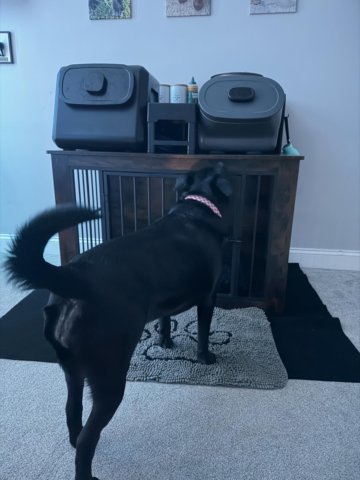 IRONCK Extra Large Dog Crate Furniture, 43.3 inches Wooden Dog Crate with Storage and 4 Hooks, Heavy Duty Pet Crate for Large Dog, Decorative Pet Cage for Indoor (30