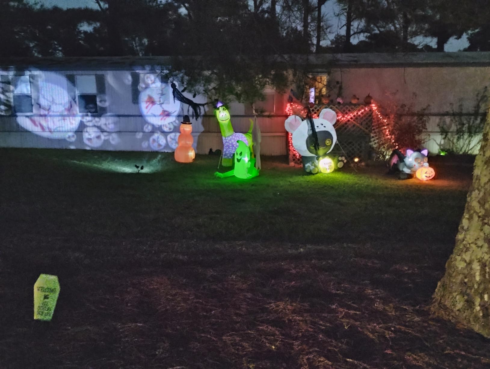 Toodour Halloween Projector Lights Outdoor, Double Head Dynamic Halloween Lights Projector with Timer, Waterproof White Ghost Decorations Light for Indoor Outdoor Home Window Wall Decorations customer photo 1