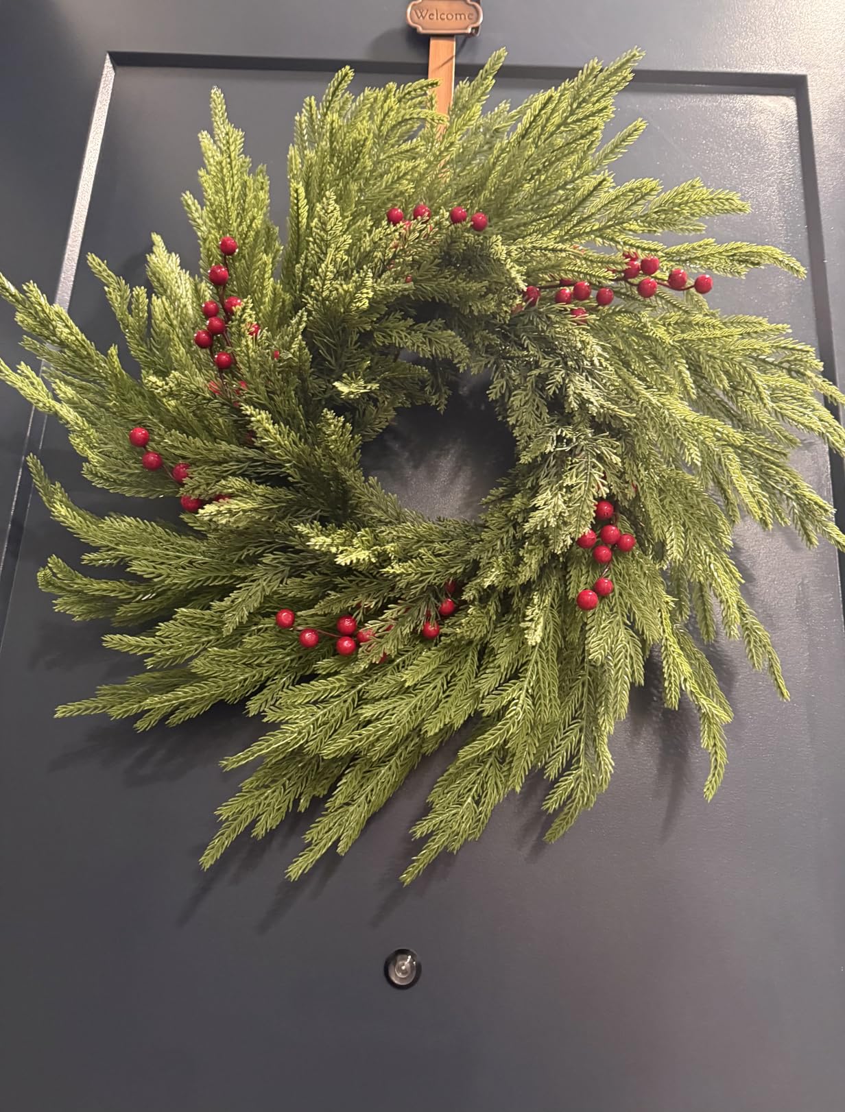 26 Inch Pine Wreath Christmas Wreaths for Front Door Real Touch Norfolk Pine Wreath Large Artificial Green Wreaths for Walls Windows Mantle Indoor Outdoor Home Decor with Red Berries Xmas Decorations customer photo 1