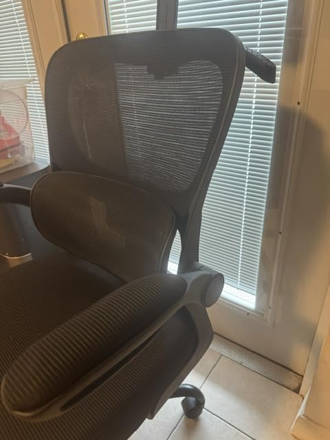 AreShark Office Chair Ergonomic Desk Chair with Adjustable Lumbar Support & Headrest Hanger - High Back Breathable Mesh customer photo 1