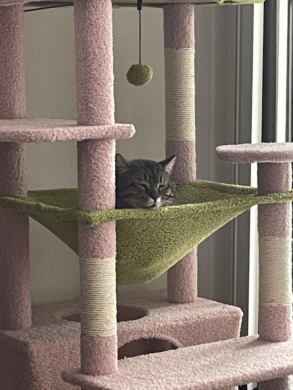 PAWZ Road Heavy Duty Cat Tree for Large Cats, 81 Inches Cactus Tall Cat Tower with 2 Perches, 2 Condos and Spacious Hammock, XL Extra Large Condo with 7 Scratching Posts for 20lb+ Adult Cats, Green customer photo 1