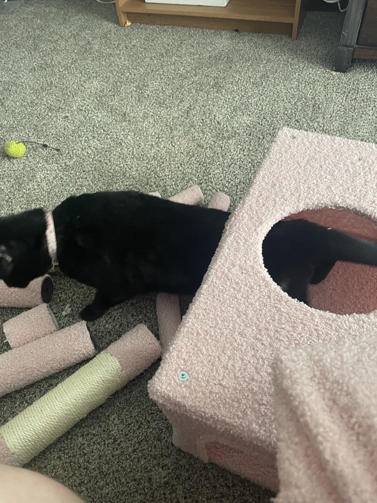 PAWZ Road Heavy Duty Cat Tree for Large Cats, 81 Inches Cactus Tall Cat Tower with 2 Perches, 2 Condos and Spacious Hammock, XL Extra Large Condo with 7 Scratching Posts for 20lb+ Adult Cats, Green customer photo 2