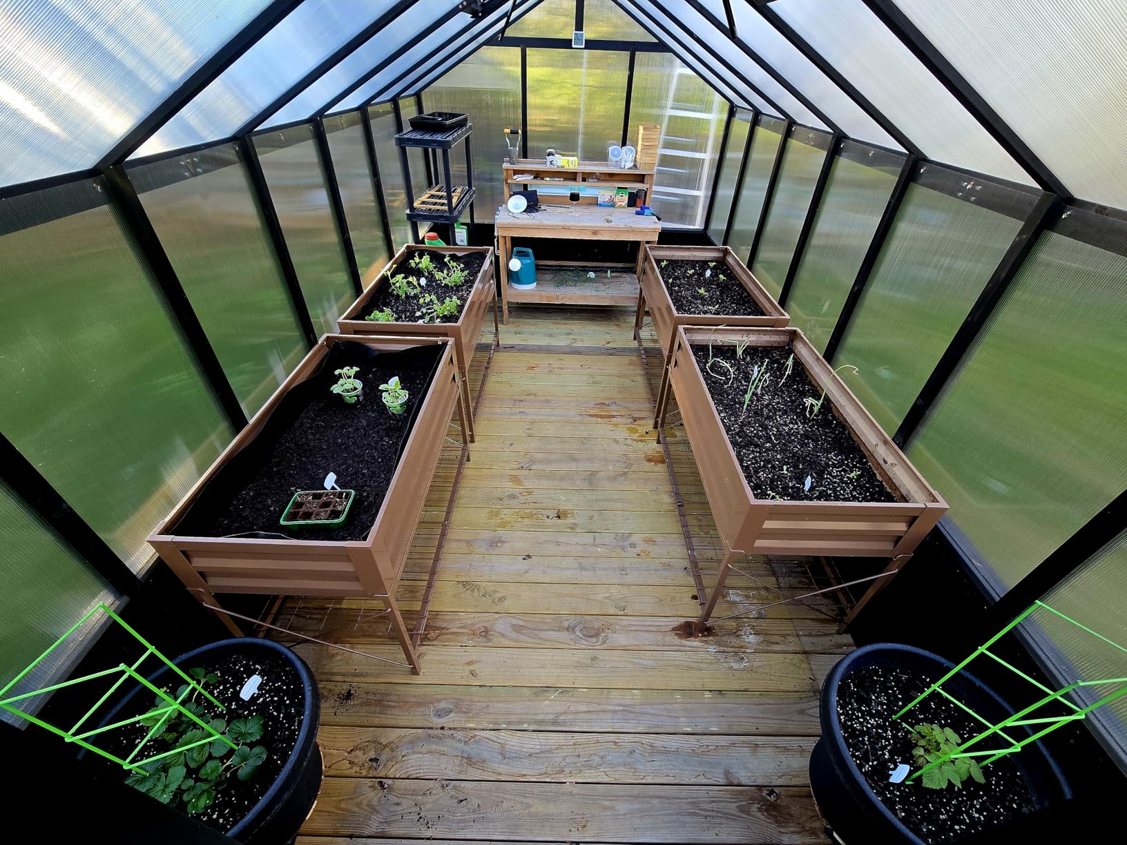 Yardenaler 8x16 FT Greenhouse for Outdoor, 6MM Thick Polycarbonate Panel Wooden Walk-in Green House with Adjustable Roof Vents and Lockable Door customer photo 1