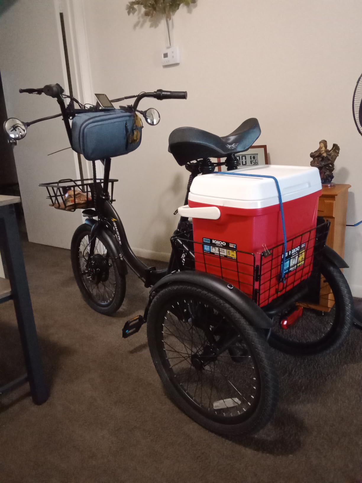 Skeri Electric Trike, Peak 1000W Electric Tricycle for Adults, 20