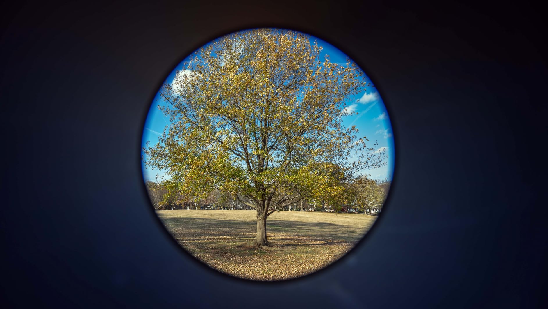 Viltrox 9mm F2.8 Ultra-Wide APS-C Auto Focus Lens for Sony E-Mount customer photo 2
