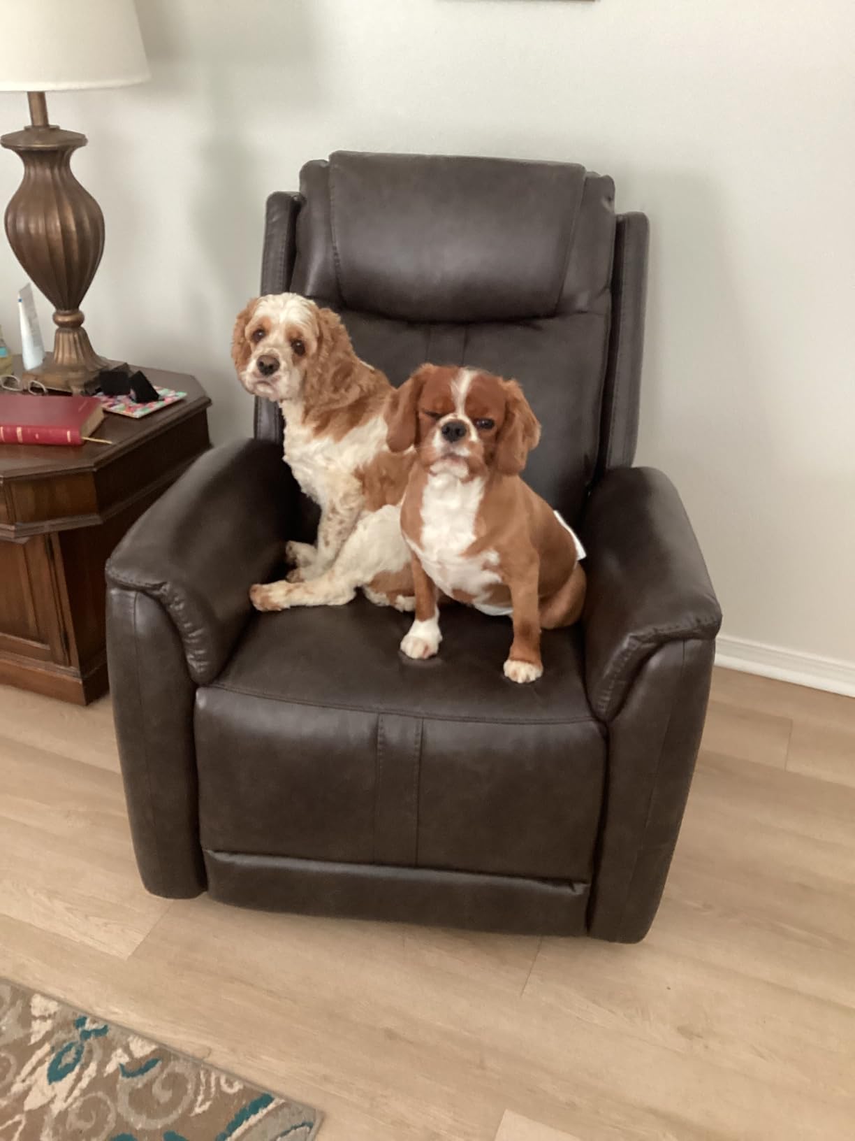 CHITA Power Recliner Chairs for Adults, Electric Leather Super Zero Gravity Recliner with USB & Type-C Charging Ports for Living Room, Bedroom & Home Theater Relaxation, Faux Leather in Tan customer photo 1