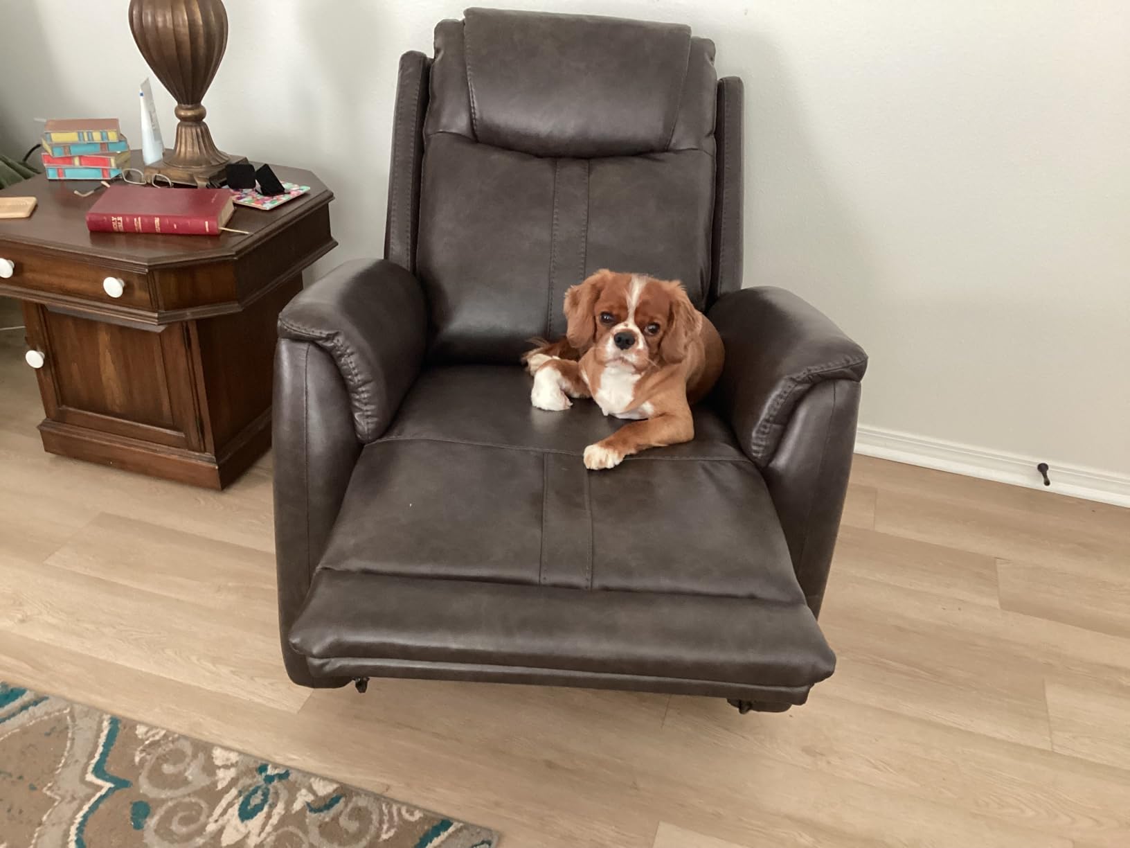 CHITA Power Recliner Chairs for Adults, Electric Leather Super Zero Gravity Recliner with USB & Type-C Charging Ports for Living Room, Bedroom & Home Theater Relaxation, Faux Leather in Tan customer photo 2