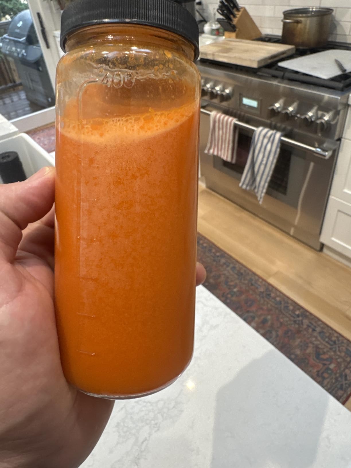 EanOruus Juicer Machines, 3-in-1 Cold Press Juicer with 6.5