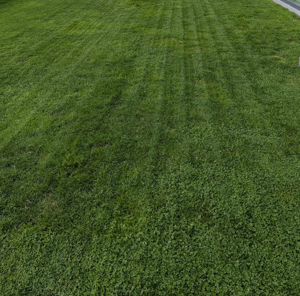 MOVA LiDAX Ultra 2000 Robot Lawn Mower with 4G for 0.5 Acre, No Wire No RTK+360° 3D LiDAR+AI Vision Auto Mapping, Zero-Edge Cutting, Cut Height 1.2
