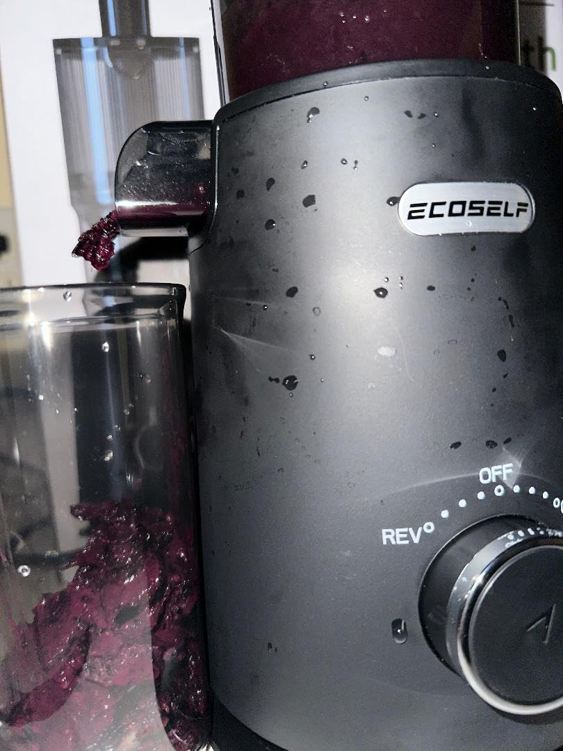 ECOSELF Juicer Machines Easy to Clean, With Wide Mouth & Large Feed Chute For Whole Fruits & Vegetables, Slow Masticating Juicer Hands-Free, Quiet Motor, Cold Press Juicer For Family, With Pusher customer photo 2