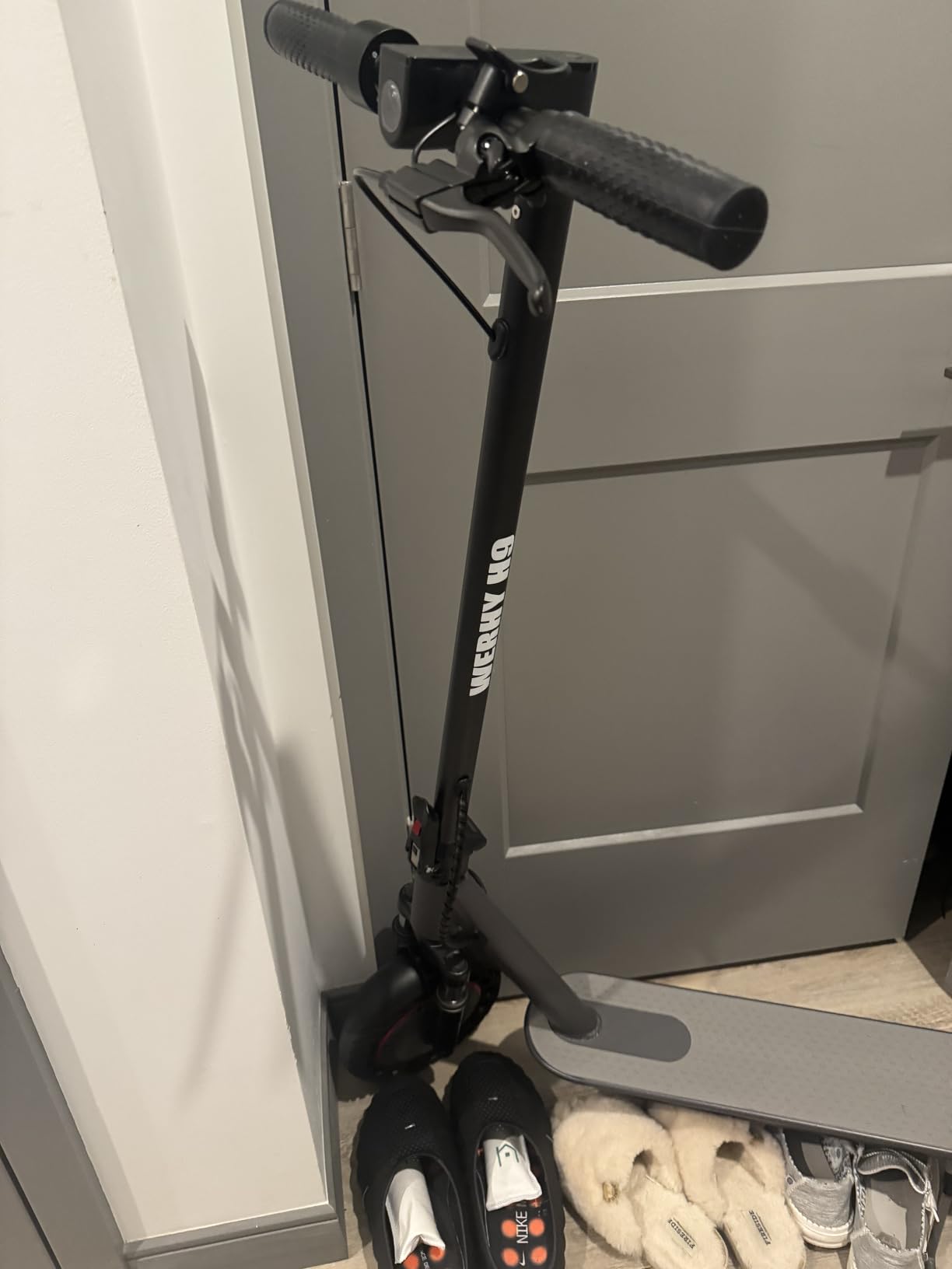 Electric Scooter, 500/350W Motor & 10