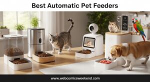 Best Automatic Pet Feeders