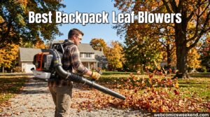 Best Backpack Leaf Blowers