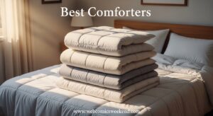 Best Comforters