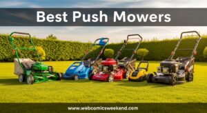 Best Cordless Leaf Blowers