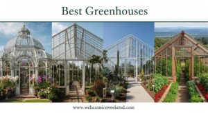 Best Greenhouses