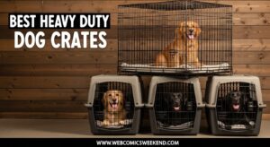 Best Heavy Duty Dog Crates