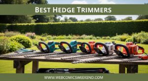 Best Hedge Trimmers