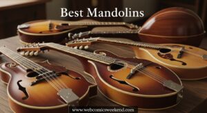 Best Mandolins