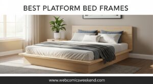 Best Platform Bed Frames
