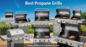 Best Propane Grills
