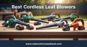 Best Push Mowers