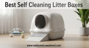 Best Self Cleaning Litter Boxes