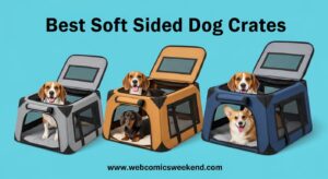 Best Soft Sided Dog Crates