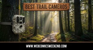 Best Trail Cameras