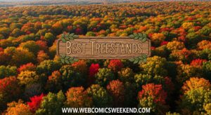 Best Treestands