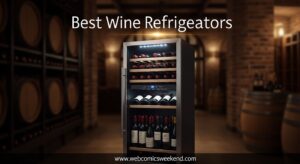 Best Wine Refrigerators