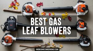 Best Gas Leaf Blowers