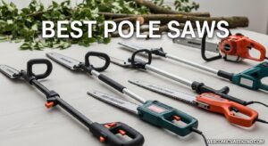 Best Pole Saws